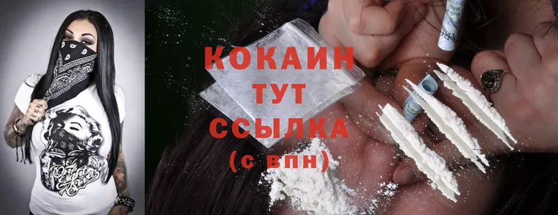 Cocaine Fish Scale  сколько стоит  Белинский 